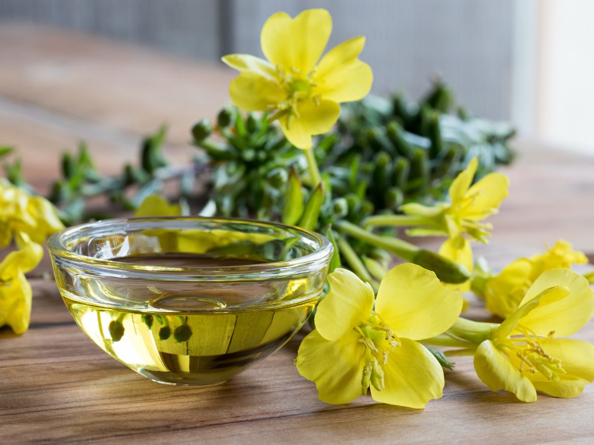 Aceite de Onagra beneficios y precauciones