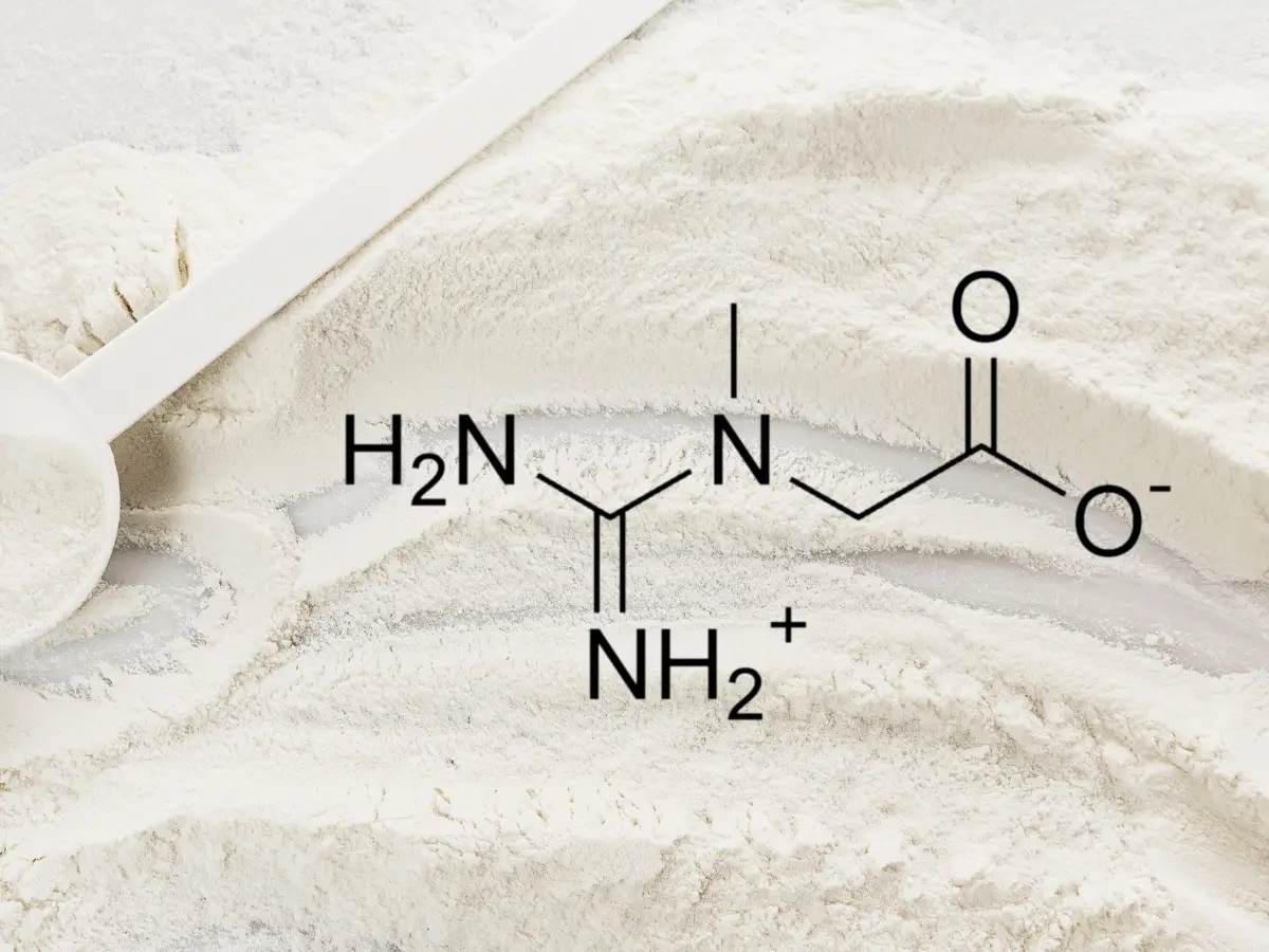 creatina mono vs micronizada