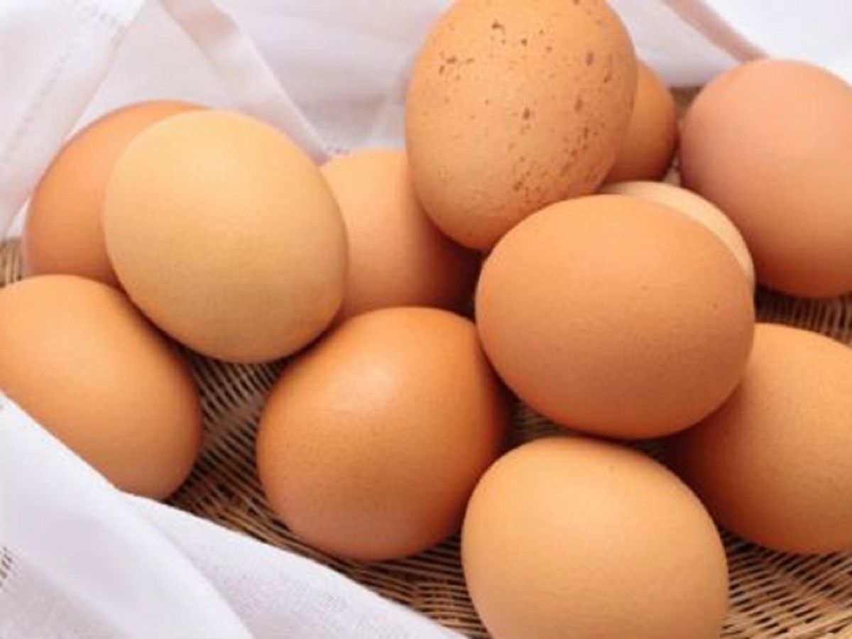 Huevo es proteína carbohidrato