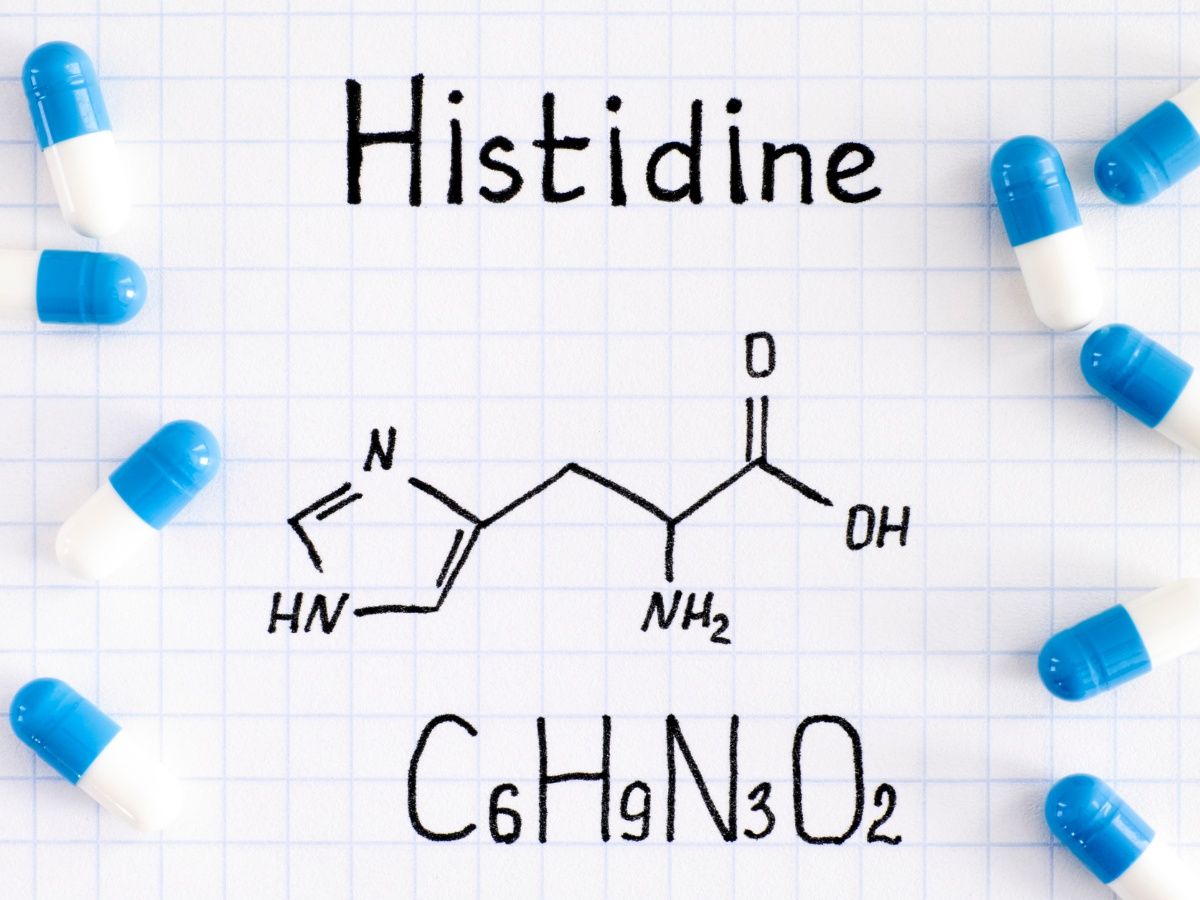 L histidina beneficios para deportistas