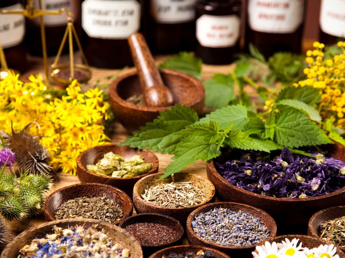 Plantas naturales para la ansiedad